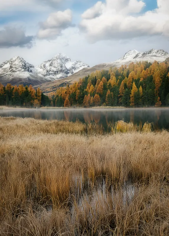 Mountain lake with golden reeds in foreground, autumn forest and snow-capped mountains under cloudy sky in background.