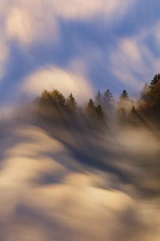 Long exposure of a forest in autumn mist, with golden sunbeams piercing through and blurred, swirling clouds.