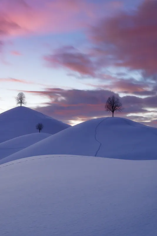 Three snow-covered hills with bare trees under a purple-pink sky at twilight.