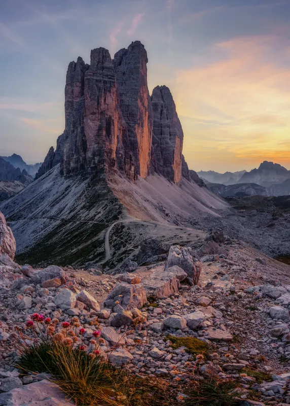 The Tre Cime di Lavaredo in the Dolomites at sunset, with warm light on the rock faces and alpine flowers in the foreground.