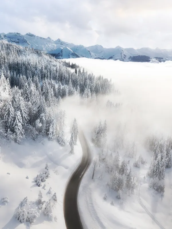A snowy road winds through a winter forest, surrounded by fog and snow-capped mountains in the background.